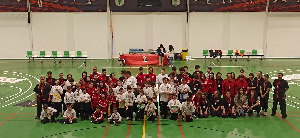 VII encuentro Artes Marciales Gijón-LALIN